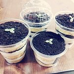 2탄>>>>23여대생의 그럭저럭먹을만한 요리