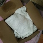 중고나라 사기사건  [ [ 읽어주세요! ] ] (사진有)