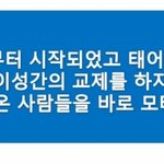 당신이 연애를 못하는 이유 