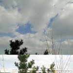 정기우의 3단계 휴거계획 :  <b>stay</b> - hop - jump