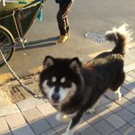 요즘 대세브라우니 <b>실체</b>(사진有)