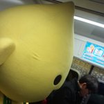 지하철에서만난 시크한 구도일 ㅋㅋ