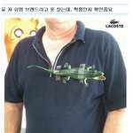 <b>패기</b> 넘치는 댓글 甲 류 ㅋㅋㅋㅋ