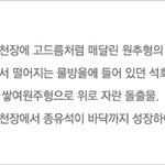 [동유럽.슬로베니아]인간물고기가 사는 포스토이나동굴후기