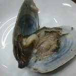 사진有) 상한<b>조개</b>를 안상햇다고 우기는 조개찜사장..