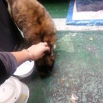 <2탄>울 미용실 착한 길고양이 엄마 <b>유경</b>쌤!~^^