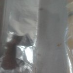 <b>롯데</b> 가나초콜릿 먹다가 구더기 나왔어요;;;