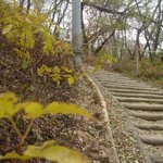 [쿨한백혈병] 쿨한 백혈병환자와 가을 끝에서.