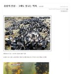 <b>홍합</b>을 먹으면 안되는 이유.jpg