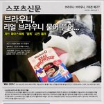 대박!! 신문 1면 <b>장식</b>한 브라우니