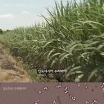 놀러갈 때 만만한 건 역시 고기 + 찌개 (조미료ㅠ) 인 듯