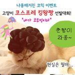 <고양이 코스프레 킹왕짱 선발대회> <b>일명</b> "고코킹" 선발대회에...