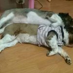 [카테고리<b>이탈</b>죄송합니다]정말급해요 꼭봐주세요 제발부탁드려요