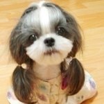 <b>얼짱</b>도전 안보면 100% 후회