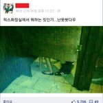 <b>페북</b>의 켄타우로스 ㅋㅋㅋㅋㅋㅋㅋㅋㅋㅋ