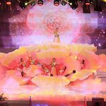 잠자리 로 인하여 행복한 요즈음....체험을 위하여 세계가 찿아온다