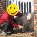 [가비두비18탄]사람인지 개인지 헷갈리는 똥꼬발랄우리집멍멍2들을...