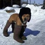 <b>tpo</b>(시간,장소,상황)에 맞춰 스타일링 나게 부츠 신는 법 공개...