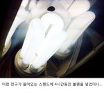 스텐드에 <b>볼펜</b>을 넣었더니...