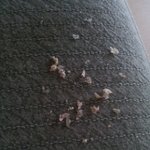 (혐오주의)매일 귀밥이 <b>산더미</b>처럼 나와요