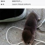 <b>빵</b>터지는댓글 3탄!