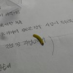 차티백에서 벌레가 나왔어요!!!! 사진유