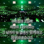 베이비분들 스프링 그린 말고