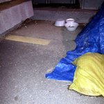 [냥판] 대두김용배의 바람피지맛!!!!