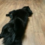 **우리 오빠도 훈남! <에피소드 14>**