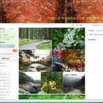 <b>남녀노소</b> 누구나 즐길 수 있는 트레킹 -