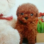 아들바보 토이엄마의 육아일기^^