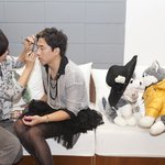 브라우니 키스남 <b>애정</b>행각 중 딱걸림ㅋㅋㅋㅋㅋㅋㅋㅋ