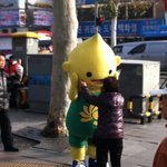 종묘에 s<b>오일</b> 귀요미가 떳어요!.!