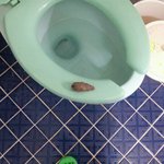 [비<b>위주</b>의 혐오주의] 청출어람 똥판! 휴지심으로 똥! 만들었어요~