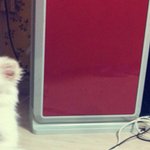 폼<b>피츠</b>)) 한국의슌스케~ 미남구름이2탄!!