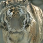 이 아이는 왜 태어났을까. (아고라 서명 부탁드립니다. ㅠ.ㅠ)