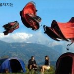 독특하고 신기한 <b>텐트</b> 모음