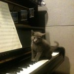 솔직히 딕펑스 얘때문에 2위까지 간거 아닌가여 ㅡㅡ?