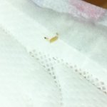 <b>여성용품</b> 진짜 믿고 써도 될까요 ㅜㅜ