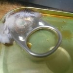 사* <b>로하</b>이 썬팜..