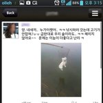 물고기 안잡한다고 강아지 <b>그물망</b>에 넣은 여성