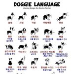 @유용한 정보들@