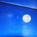 뒷집 여자가 제 차로 자꾸 담배 <b>불똥</b>을 텁니다