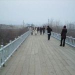 [jp] 日 블로그, 또 다른 한국의 모습 비무장지대와 jsa