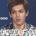 무개념 <b>엑소팬들</b> 그리고 다른 팬덤분들