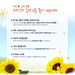 선크림좀 추천해주세요~ 사진있어효~선크림사진