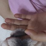 돌,동동,<b>동글</b> 1학년4반 3대dog