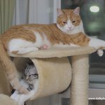 유봉이네 군대이야기(유봉이네판)