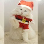 너 혹시 <b>루돌프</b>니?