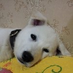 <b>전</b> 너무 잘생긴거 같습니다 (<b>사진</b>있어요)
